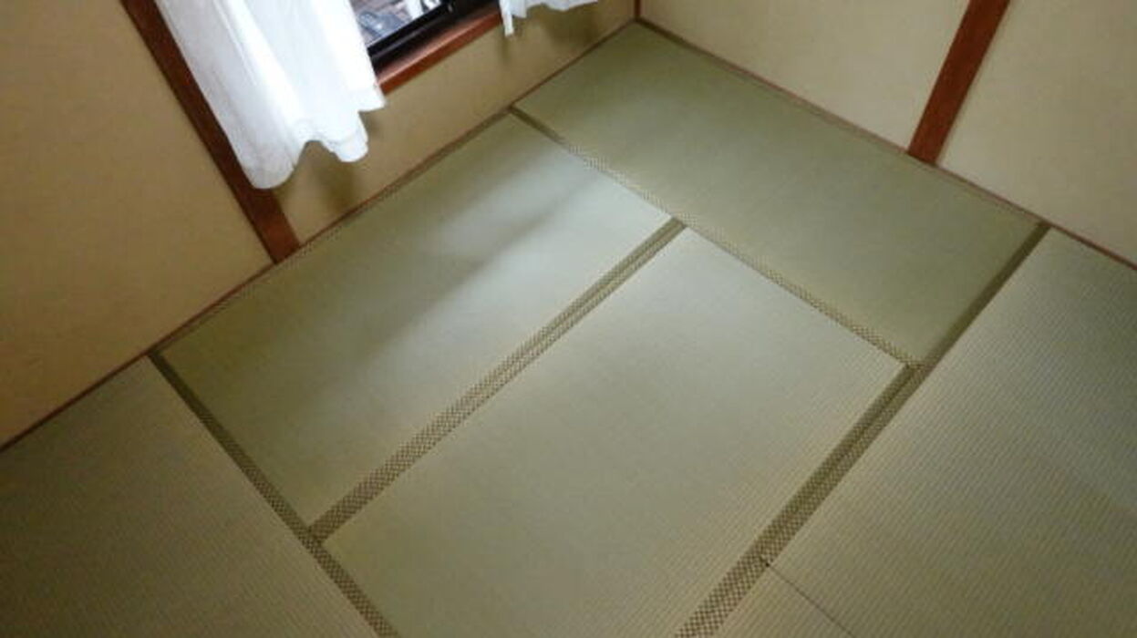 画像4809：ボロボロの畳もいぐさの香が楽しみな部屋に