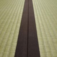 画像5544：ボロボロの畳もいぐさの香が楽しみな部屋に