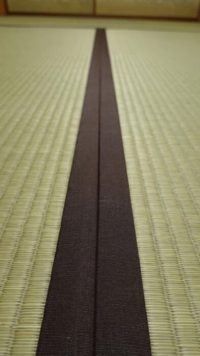 画像5544：ボロボロの畳もいぐさの香が楽しみな部屋に