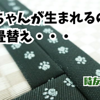 画像6703：ボロボロの畳もいぐさの香が楽しみな部屋に