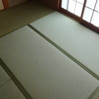 DSC01854
