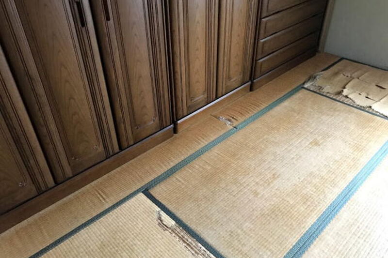 ボロボロの畳もいぐさの香が楽しみな部屋に