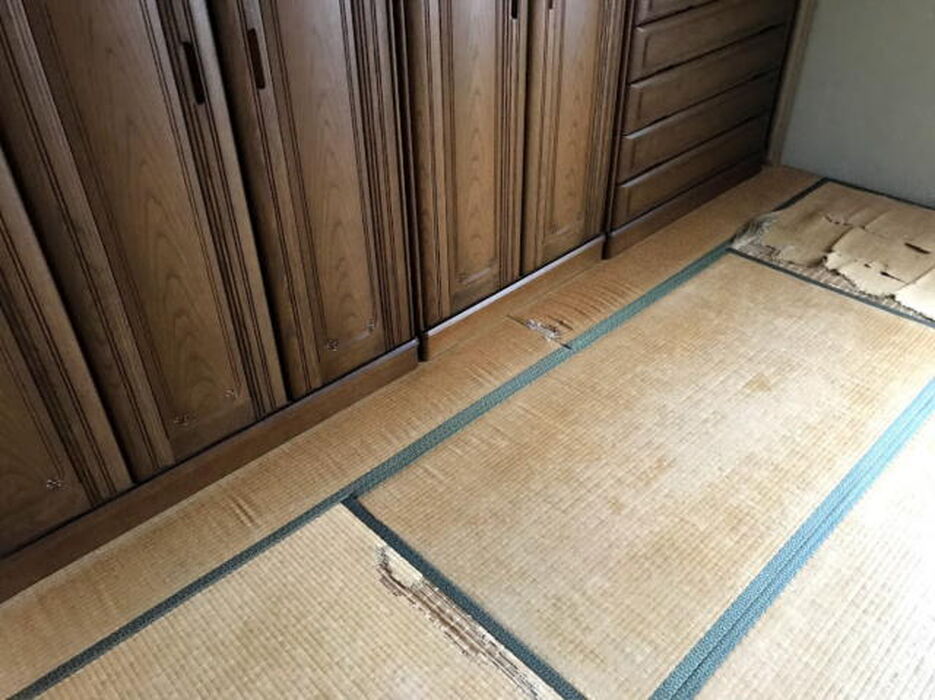 ボロボロの畳もいぐさの香が楽しみな部屋に