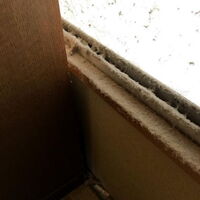 画像7959：ボロボロの畳もいぐさの香が楽しみな部屋に