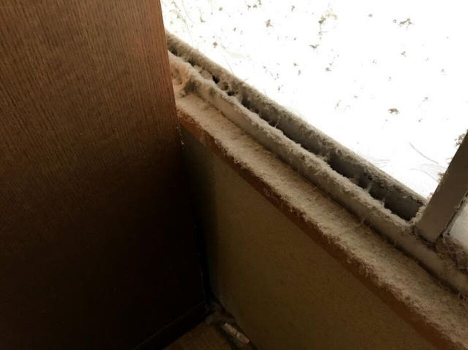 画像7959：ボロボロの畳もいぐさの香が楽しみな部屋に